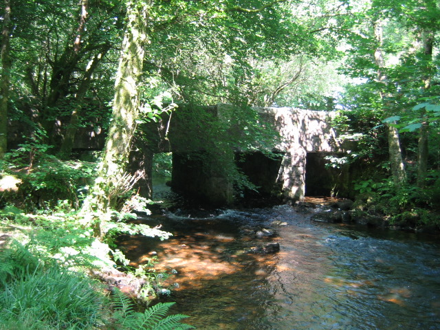 Bridge at Golitha - geograph.org.uk - 437739