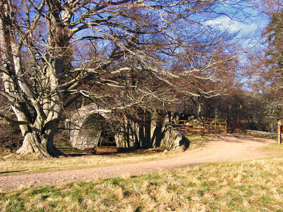 Bridge of Tanar at Braeloine - geograph.org.uk - 786827