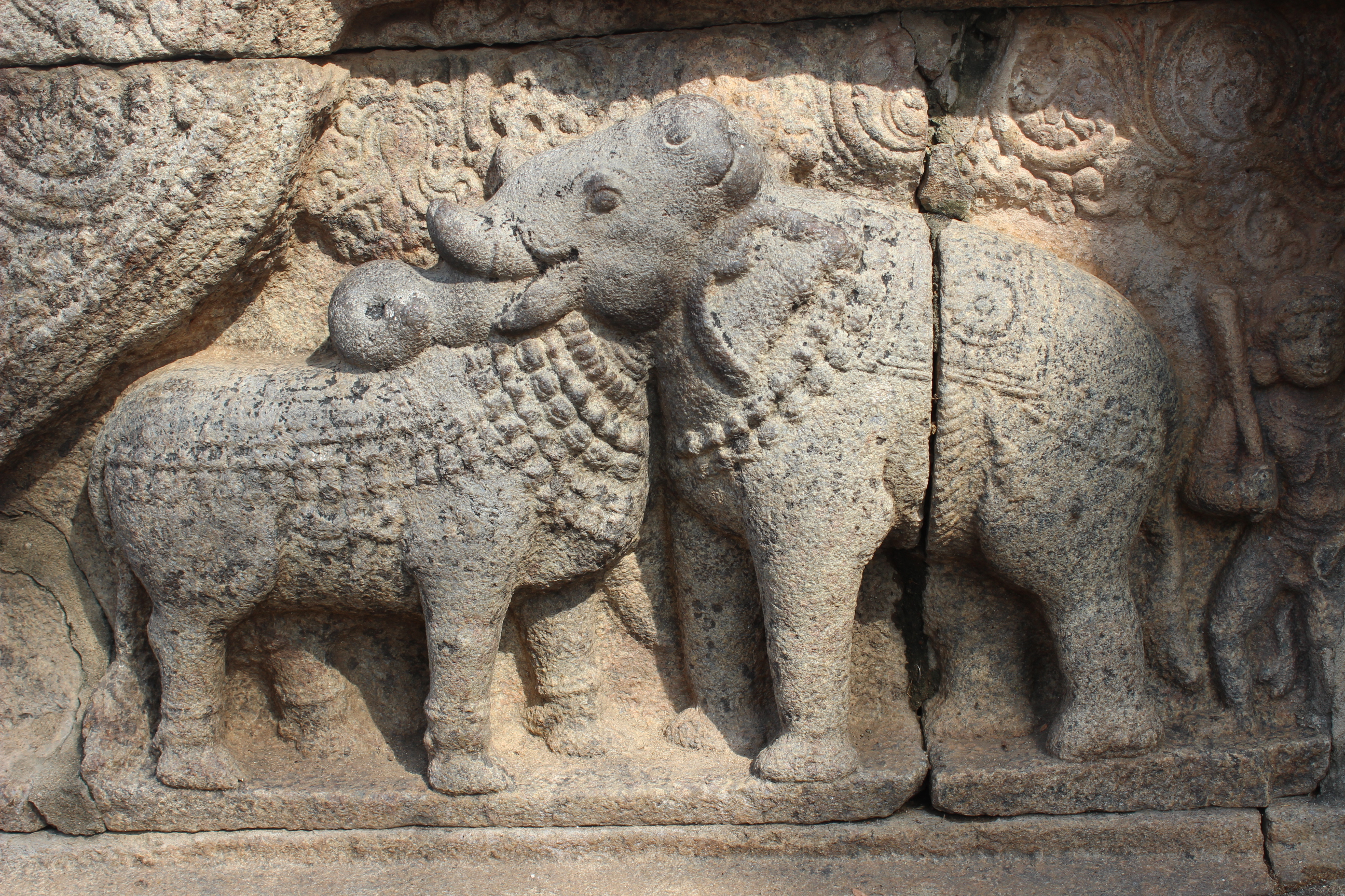 File:Bull and Elephant statue at Thanjavur Airavatesvara Temple..JPG -  Wikimedia Commons