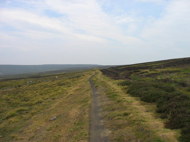 File:C2C Cycle Track near Meadows Edge - geograph.org.uk - 209316.jpg