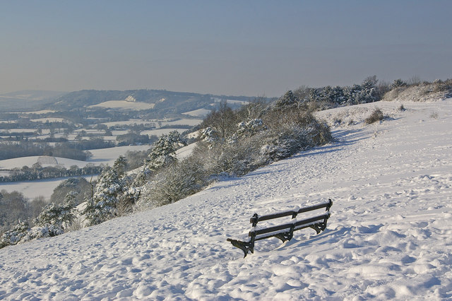 File:Colley Hill in snow - geograph.org.uk - 1654236.jpg