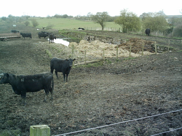 File:Disused Railway line - geograph.org.uk - 158267.jpg