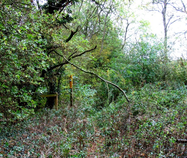 File:Footpath to Barrow upon Soar - geograph.org.uk - 2638721.jpg