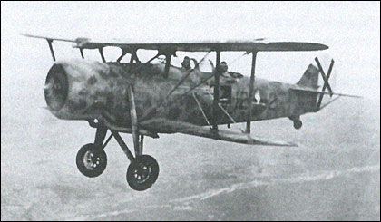 IMAM Ro.37 Lince (Lynx) reconnaissance aircraft of the Regia Aeronautica