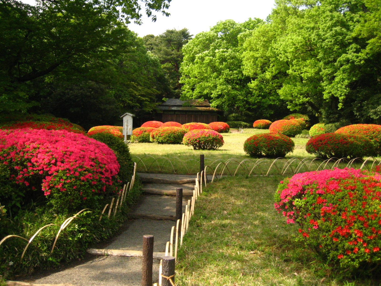 Meiji Shrine Inner Garden Wikipedia