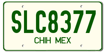 File:Mexico license plate 1992 graphic.png