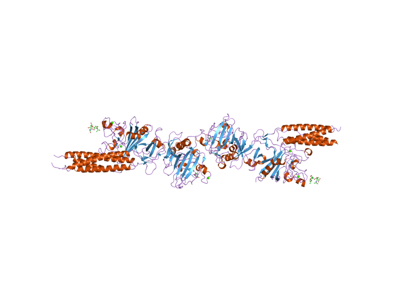 File:PDB 2hlo EBI.png