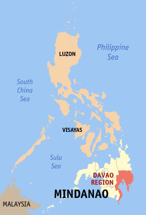 <span class="mw-page-title-main">2010 Philippine House of Representatives elections in the Davao Region</span>