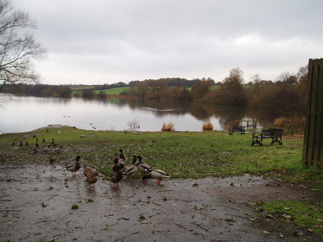 File:Pick Mere, looking west - geograph.org.uk - 87456.jpg