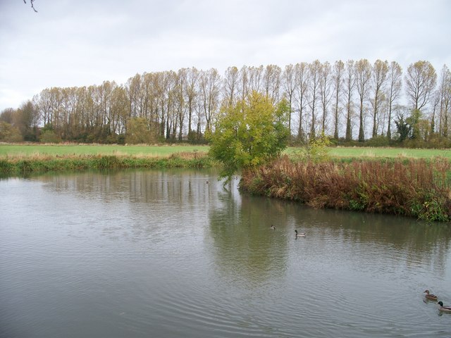 File:River Thames near Lechdale - geograph.org.uk - 1556223.jpg