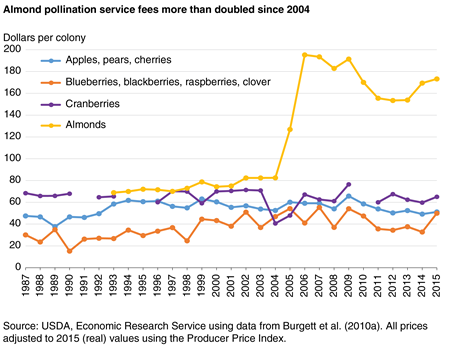 File:US almond pollination share.png