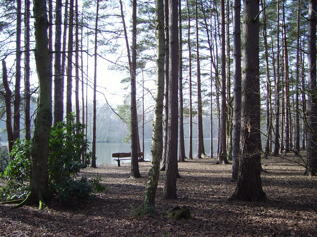 File:Woodland next to Heath Lake - geograph.org.uk - 696196.jpg