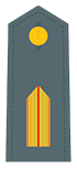 brigade badge