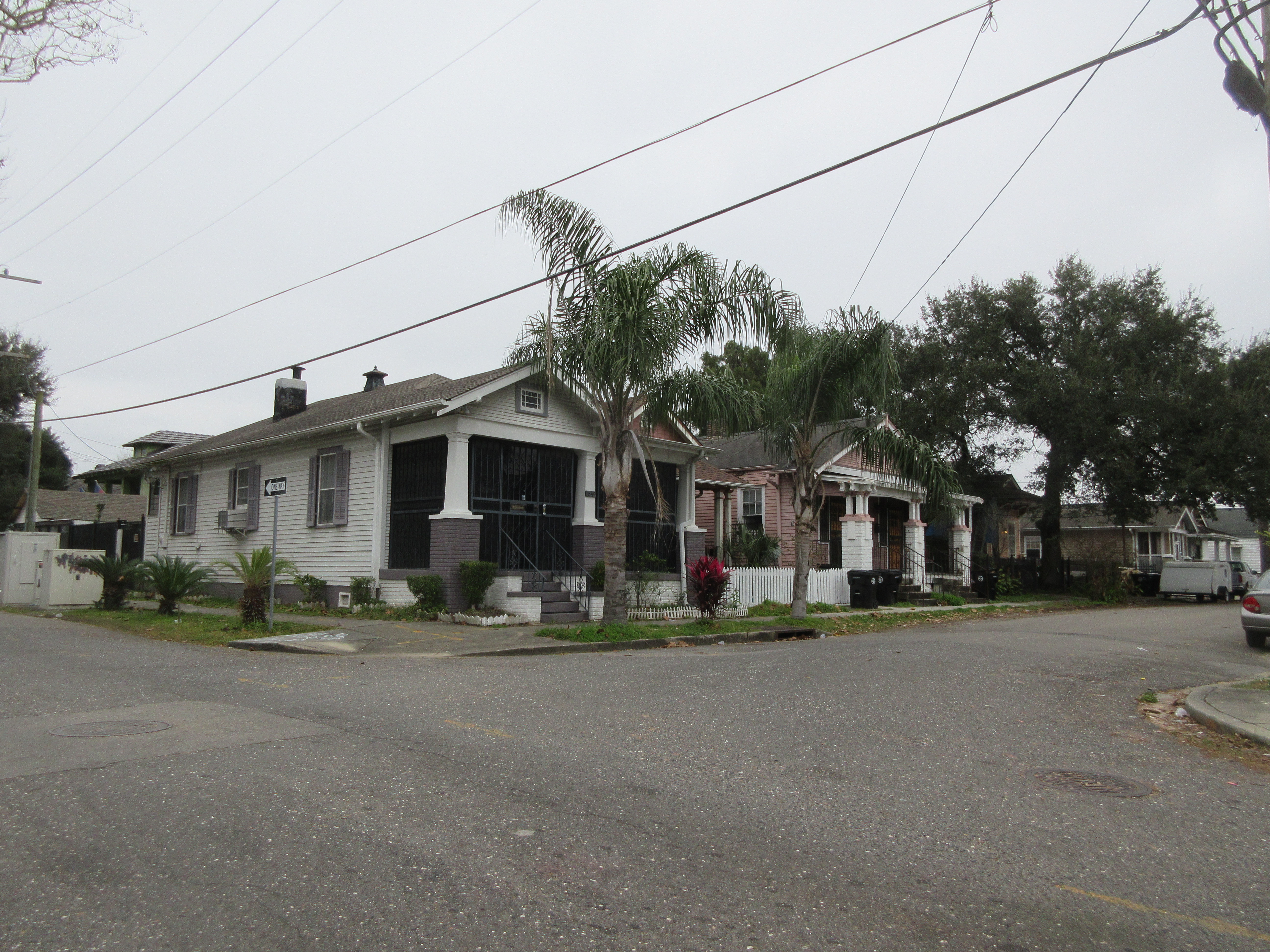 7th Ward Houses Palms New Orleans.jpg. 