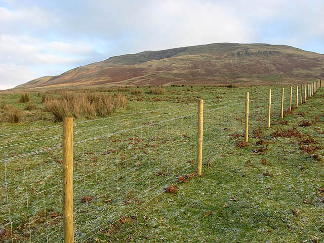 File:A new fence - geograph.org.uk - 636284.jpg