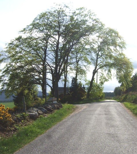 File:Access to The Garrol - geograph.org.uk - 810314.jpg