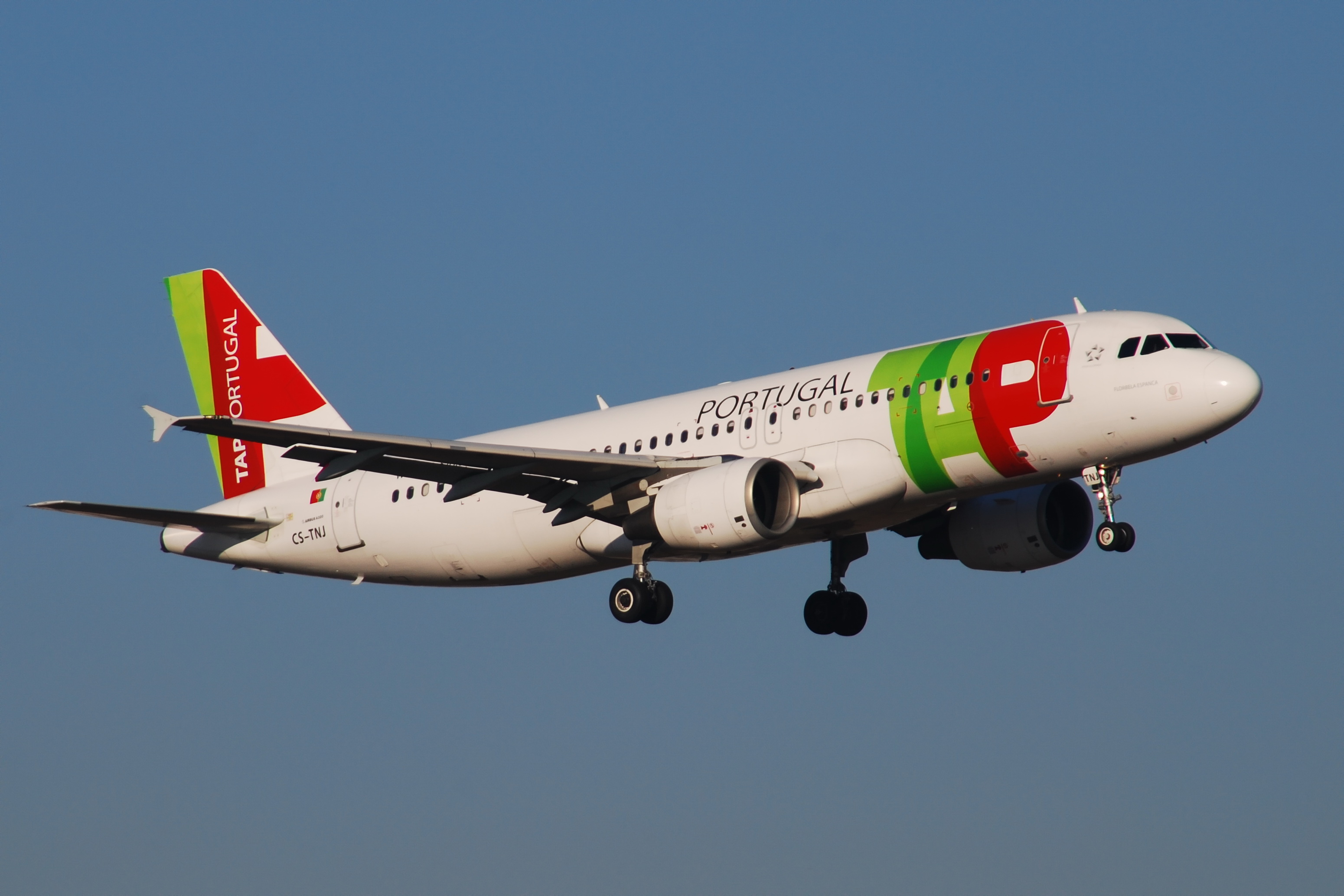 File:Airbus A320-200 TAP Portugal (TAP) CS-TNJ - MSN 1181 - Named