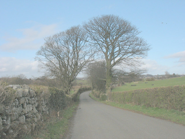 File:Arching trees near Plas Tirion Farm in winter - geograph.org.uk - 716966.jpg