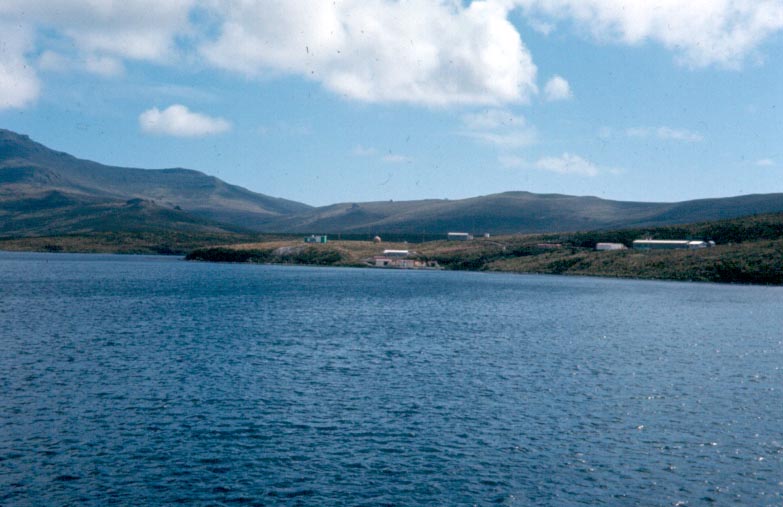 File:Baxter-Campbell-Island.jpg