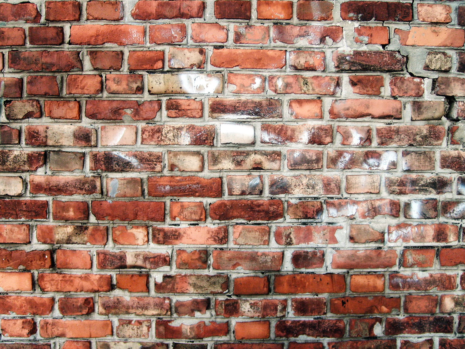 file-brick-wall-in-flemish-bond-jpg-wikipedia