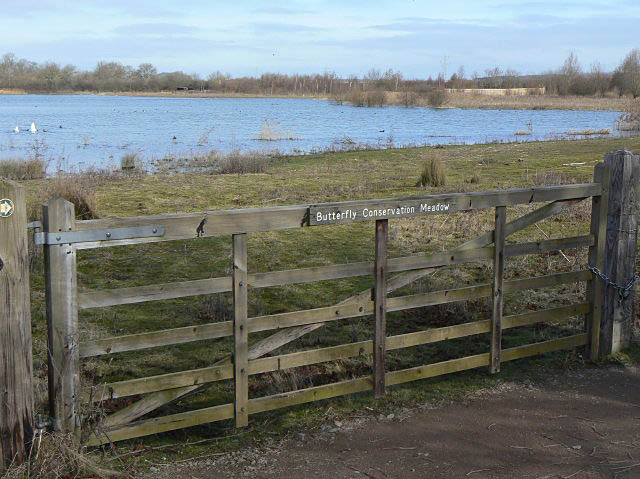Butterfly Conservation Meadow - geograph.org.uk - 1183651