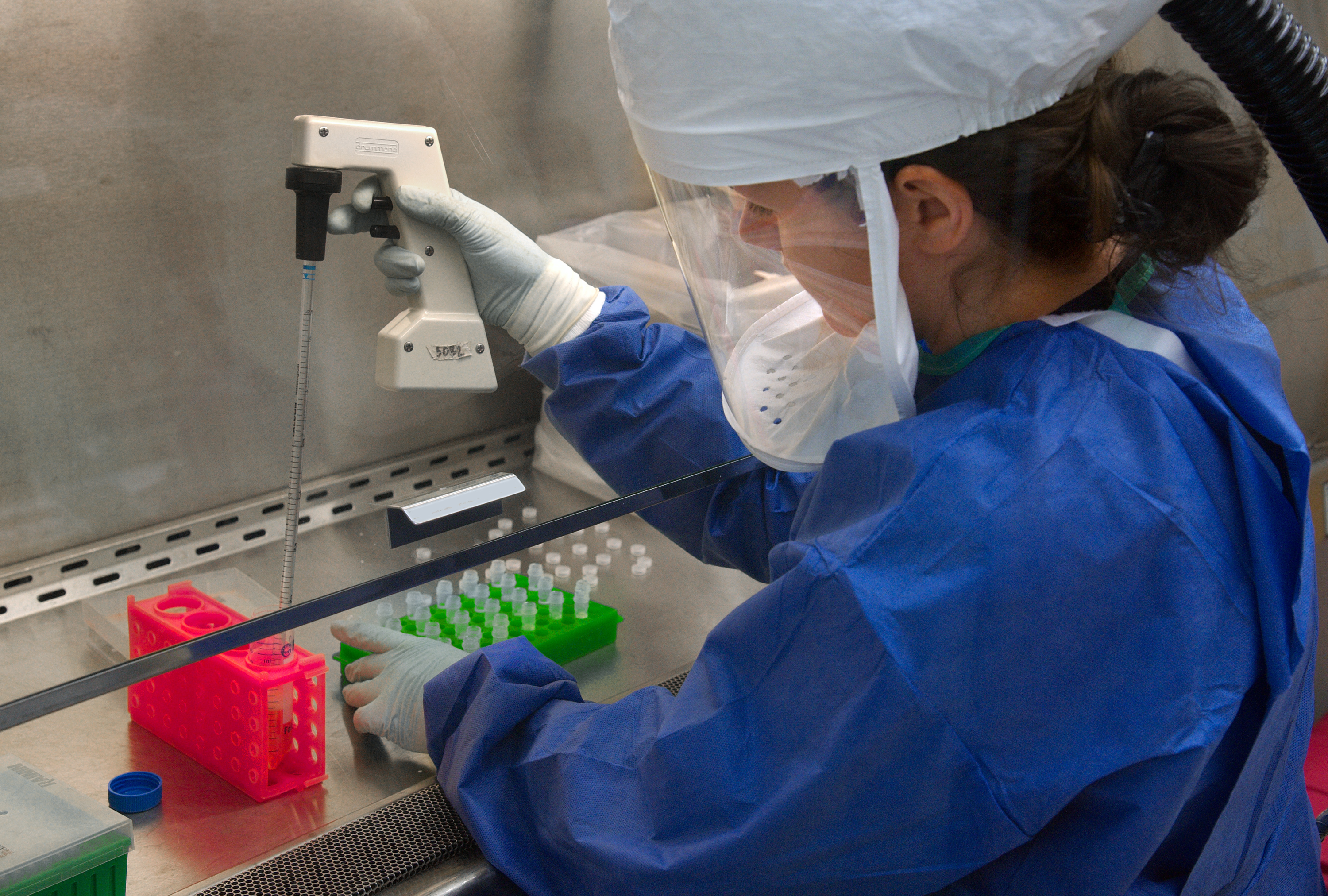 CDC scientist transfers H7N9.png