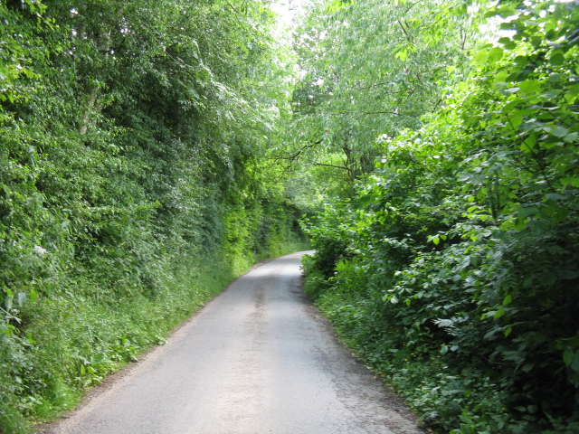 File:Climbing through the woods to Wolferlow - geograph.org.uk - 3540196.jpg