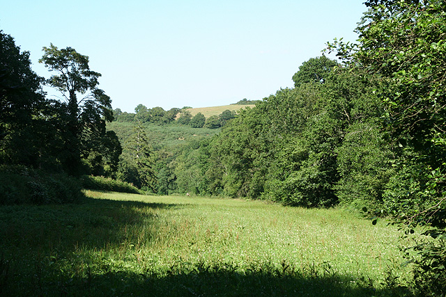 File:Crediton Hamlets, by Scutch Hill Copse - geograph.org.uk - 201590.jpg