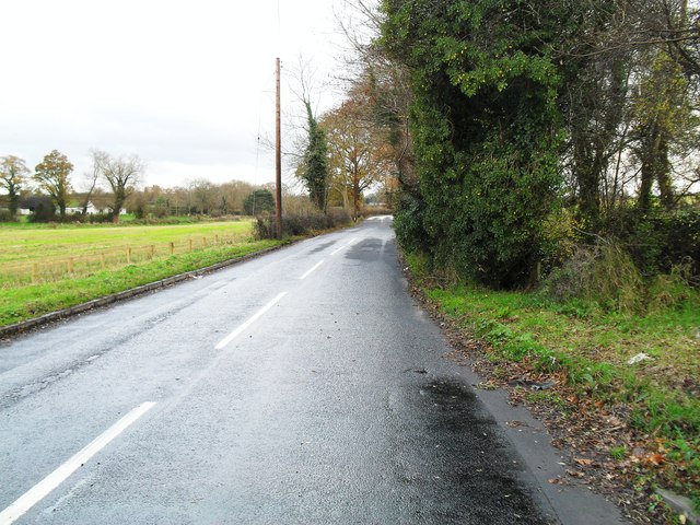 File:Drumnagoon Road, Tamnificarbet - geograph.org.uk - 1591360.jpg