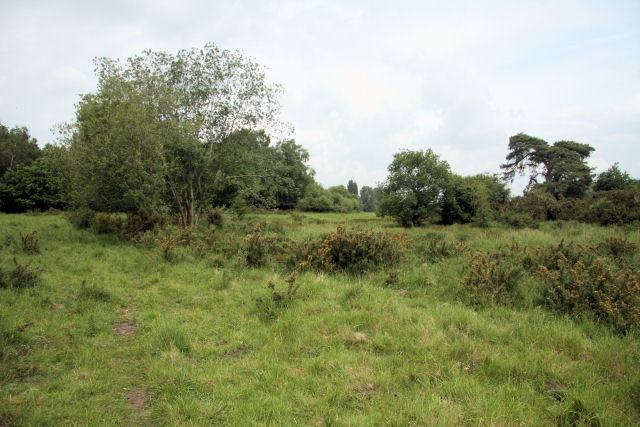 East Harling Common