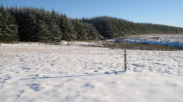 File:Electric fence, Pogbie Hill - geograph.org.uk - 1068182.jpg