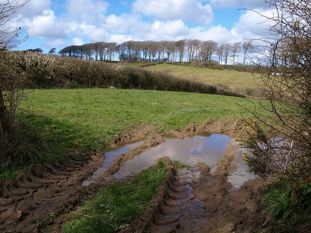 File:Field near Bradworthy - geograph.org.uk - 741009.jpg