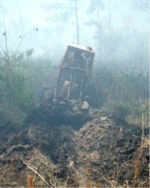 Plowing a control line in advance of a wildfire, Georgetown, South Carolina