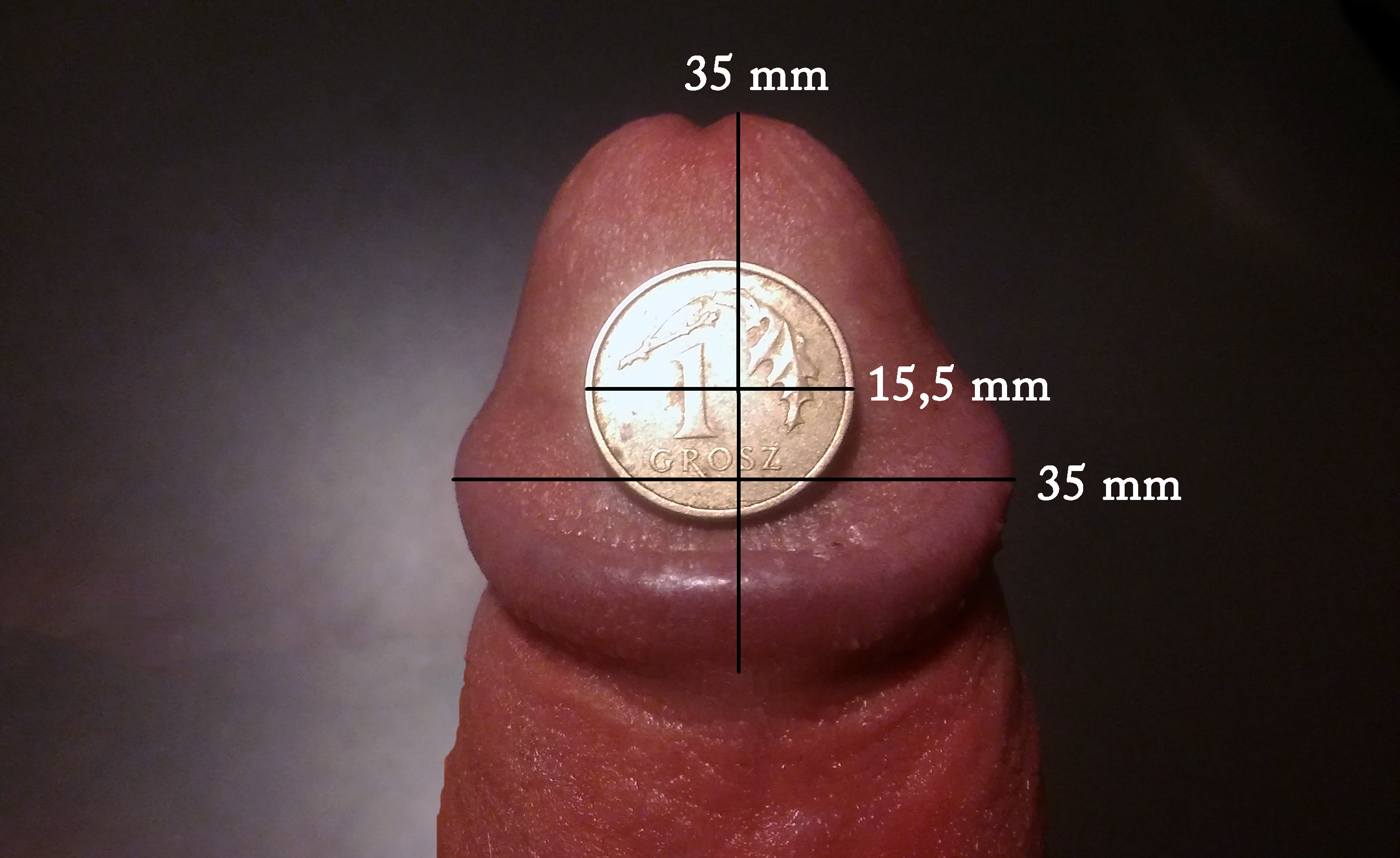 Penis Size Flaccid 106