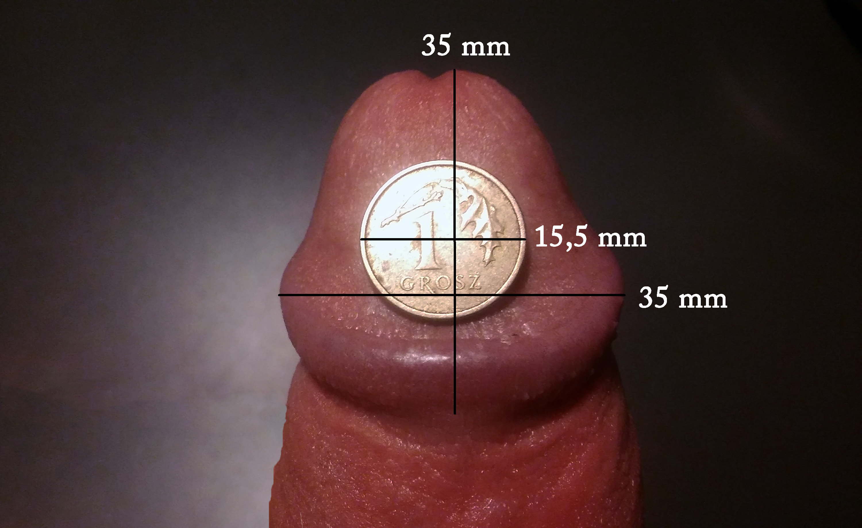 Penis Measurments 31