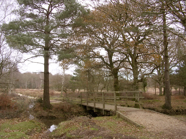 File:Footbridge over Ober Water south of the Clumber Inclosure, New Forest - geograph.org.uk - 92418.jpg