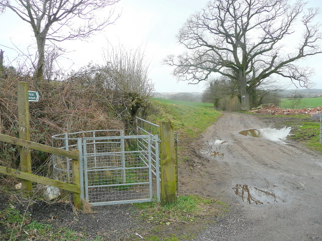 File:Footpath to the River Otter - geograph.org.uk - 1771709.jpg