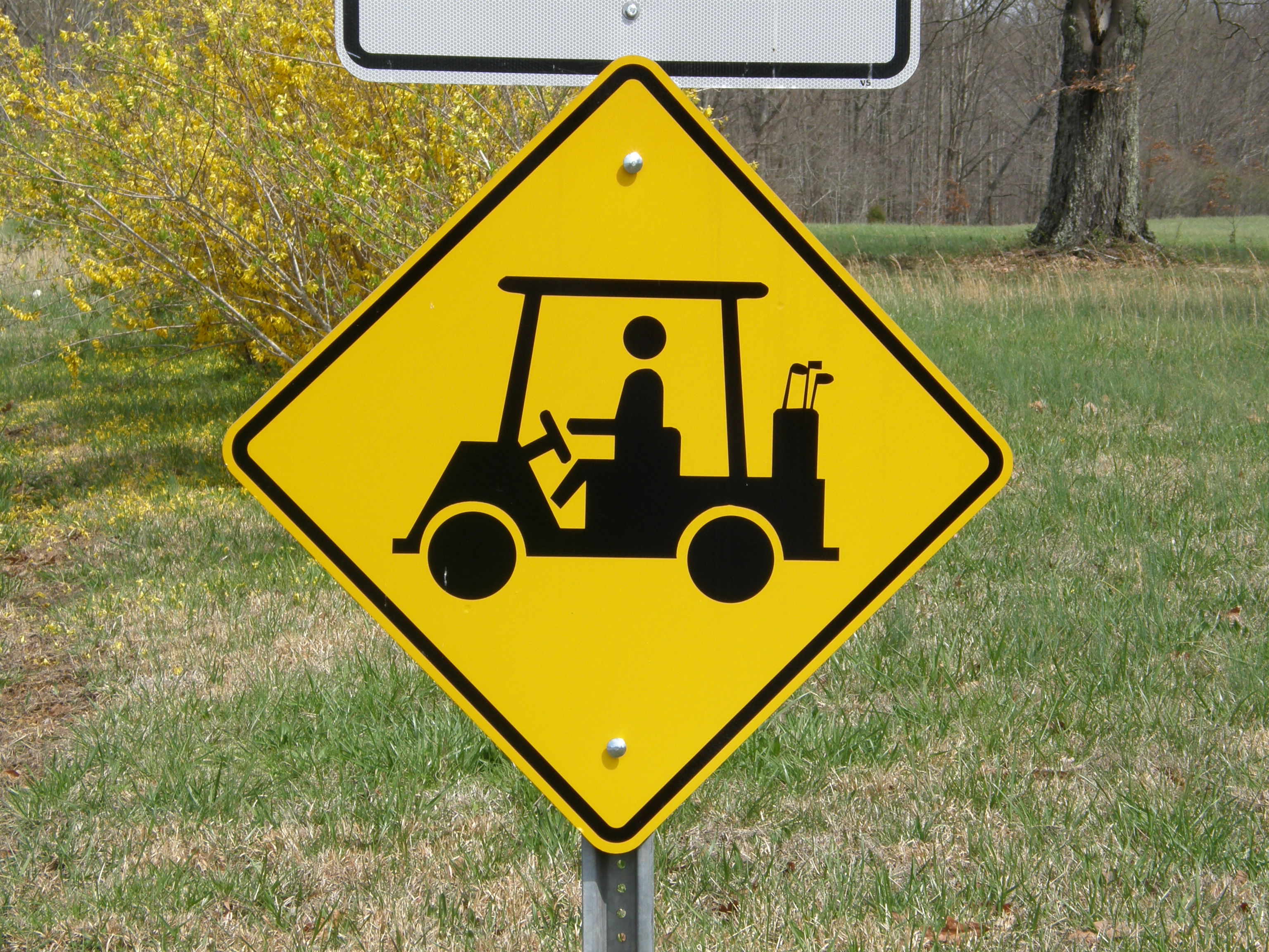 golf cart sign