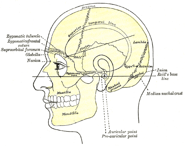 Mastoïd fractuur