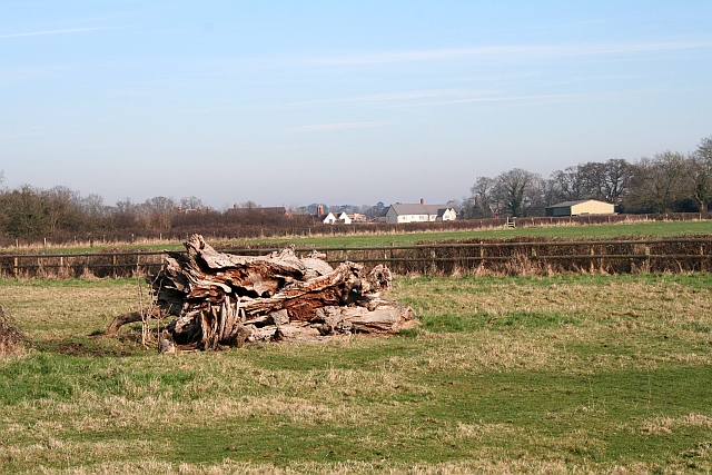 File:Old Tree Trunk, Hanley Hall Farm - geograph.org.uk - 709290.jpg