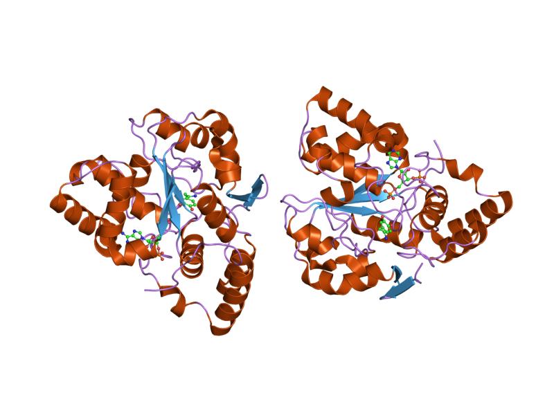 File:PDB 2a3r EBI.jpg