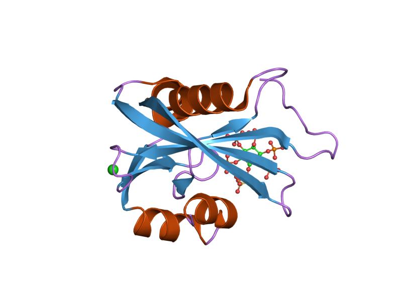 File:PDB 2fvv EBI.jpg