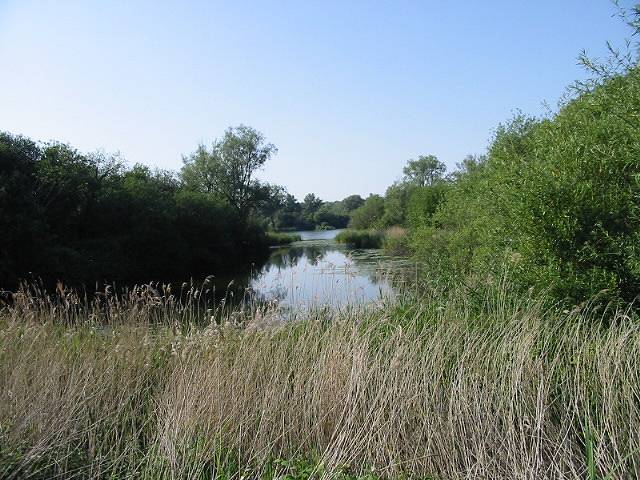 Part of Fordwich lakes from the Stour Valley Walk - geograph.org.uk - 465140