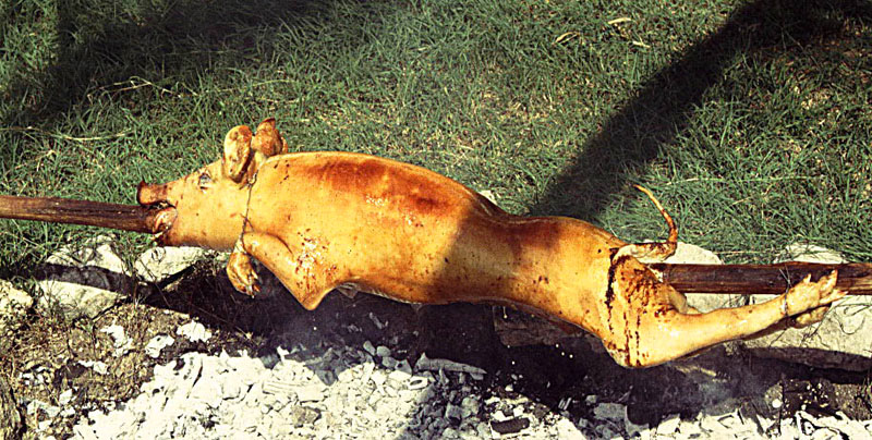 File:Pig Roast - Flickr - Dick Culbert.jpg