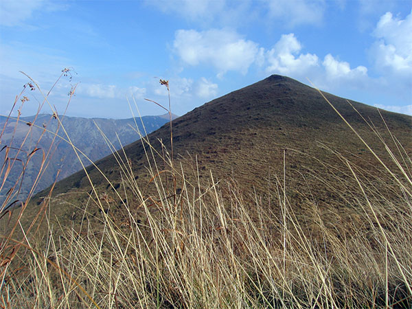 Piramida - Wiktionary bahasa Indonesia