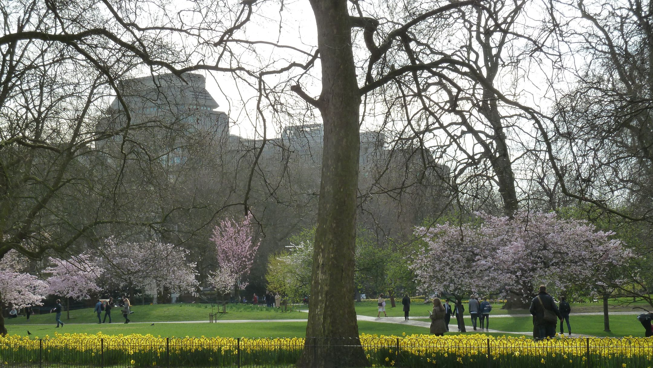 St james s park