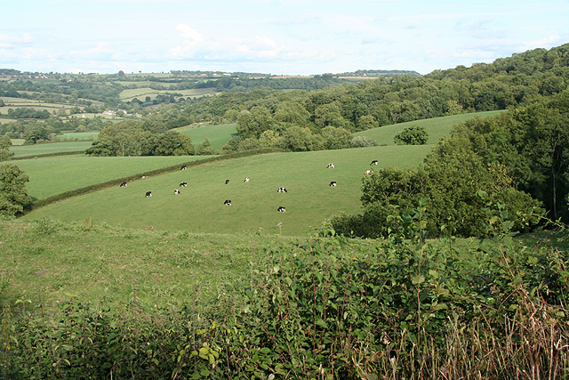 File:Stockland, by Marlpit Cross - geograph.org.uk - 226404.jpg