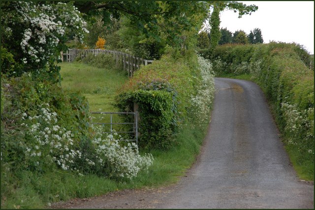 File:The Millbrooke Road near Bangor - geograph.org.uk - 448411.jpg