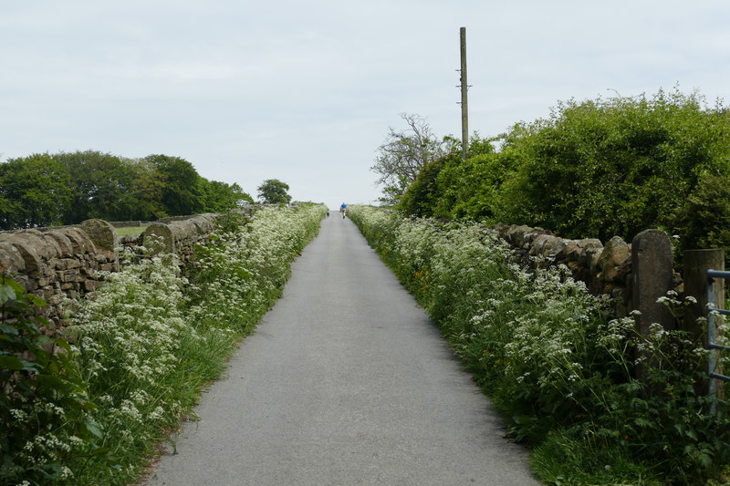 The lane to Black Moss Reservoirs - geograph.org.uk - 4533881