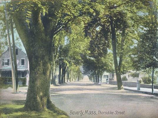 File:Thorndike Street, Beverly, MA.jpg